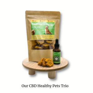 store/p/cBD_sMART_pETS_bUNDLE